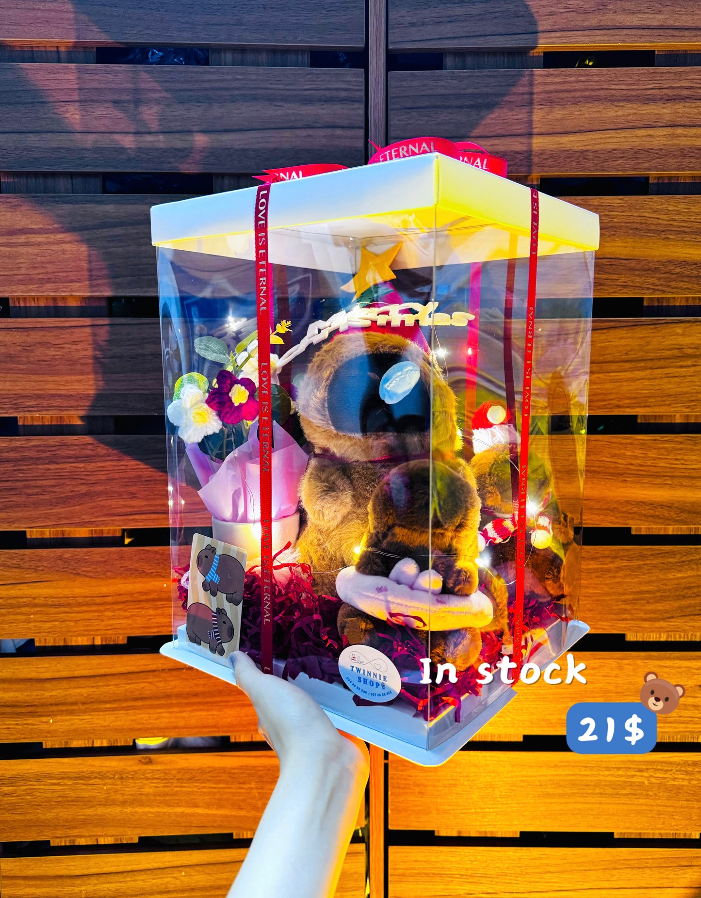 Xmas | Capybara gift set