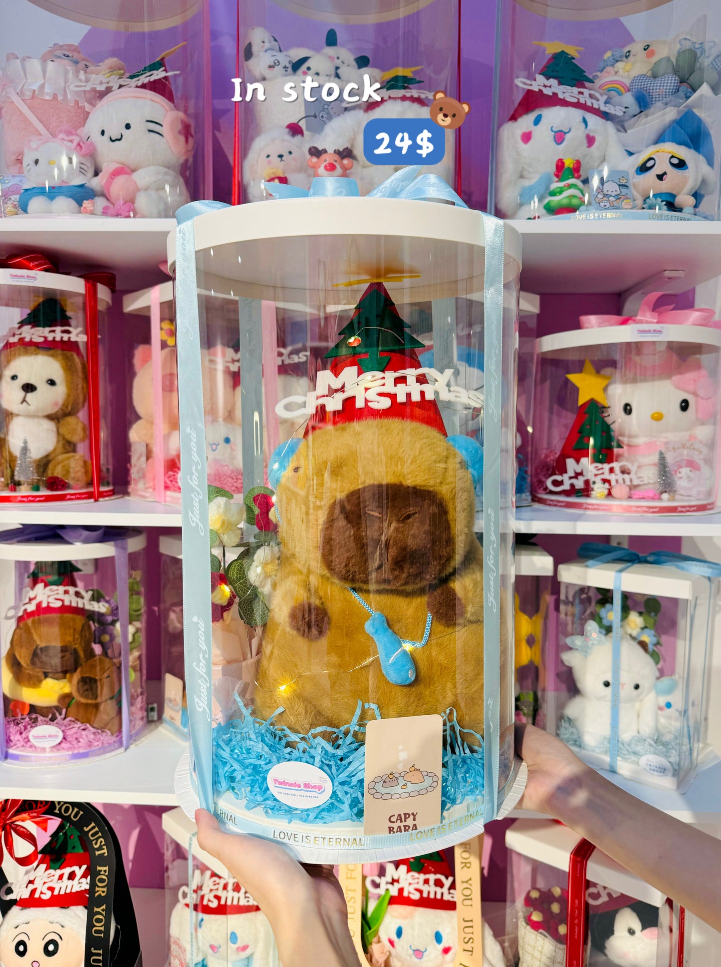 Xmas | Capybara Christmas big set