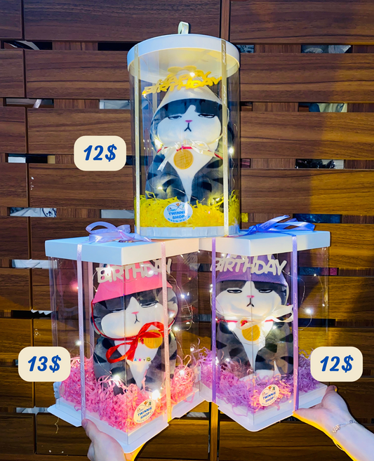 SRBBD | moody cat birthday box