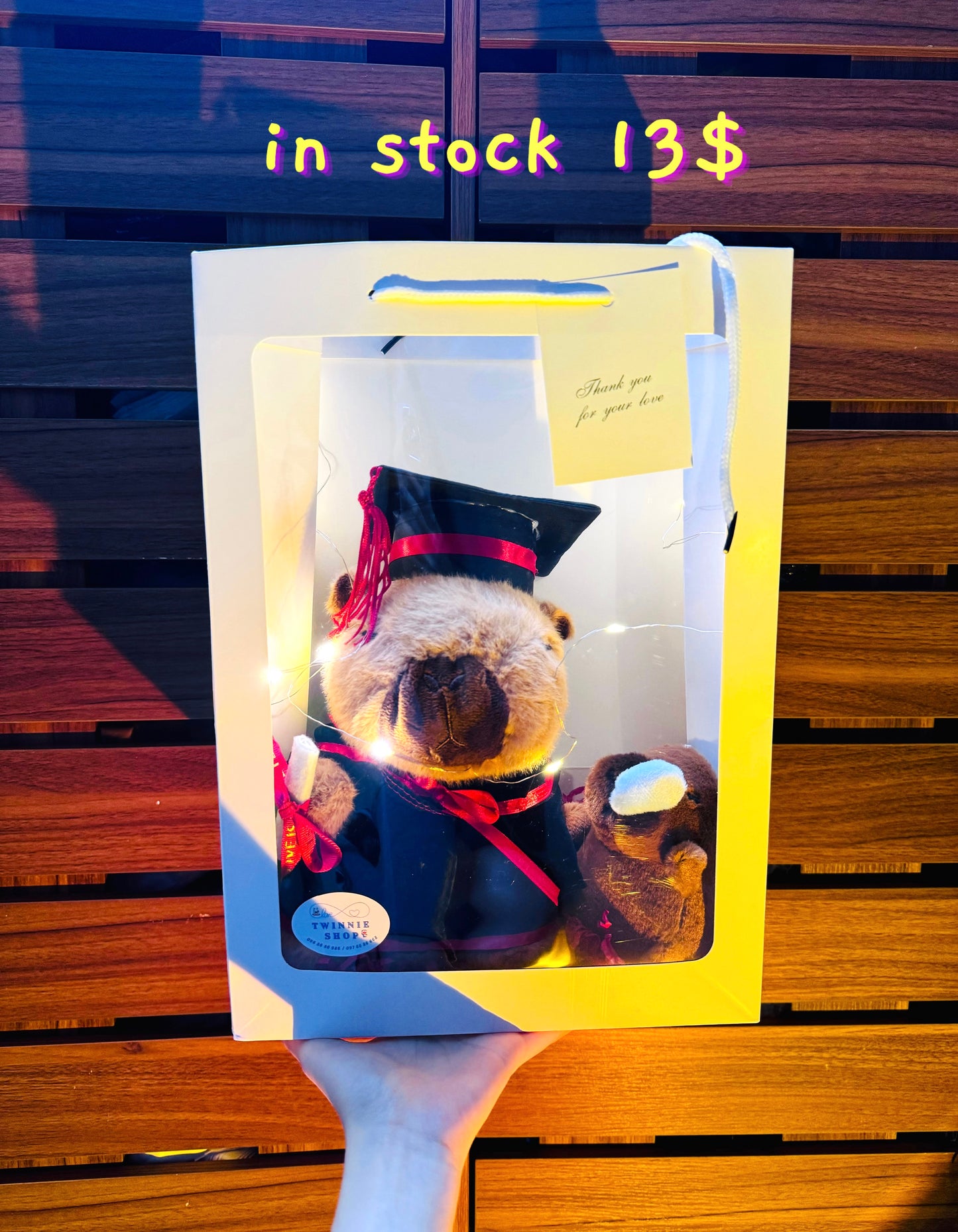 GRA | Capybara graduate bag