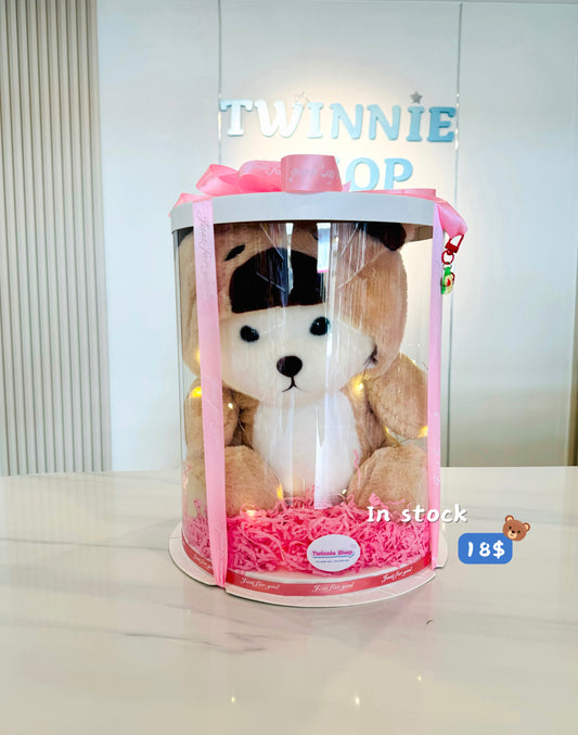 BB | Brown Bear gift set
