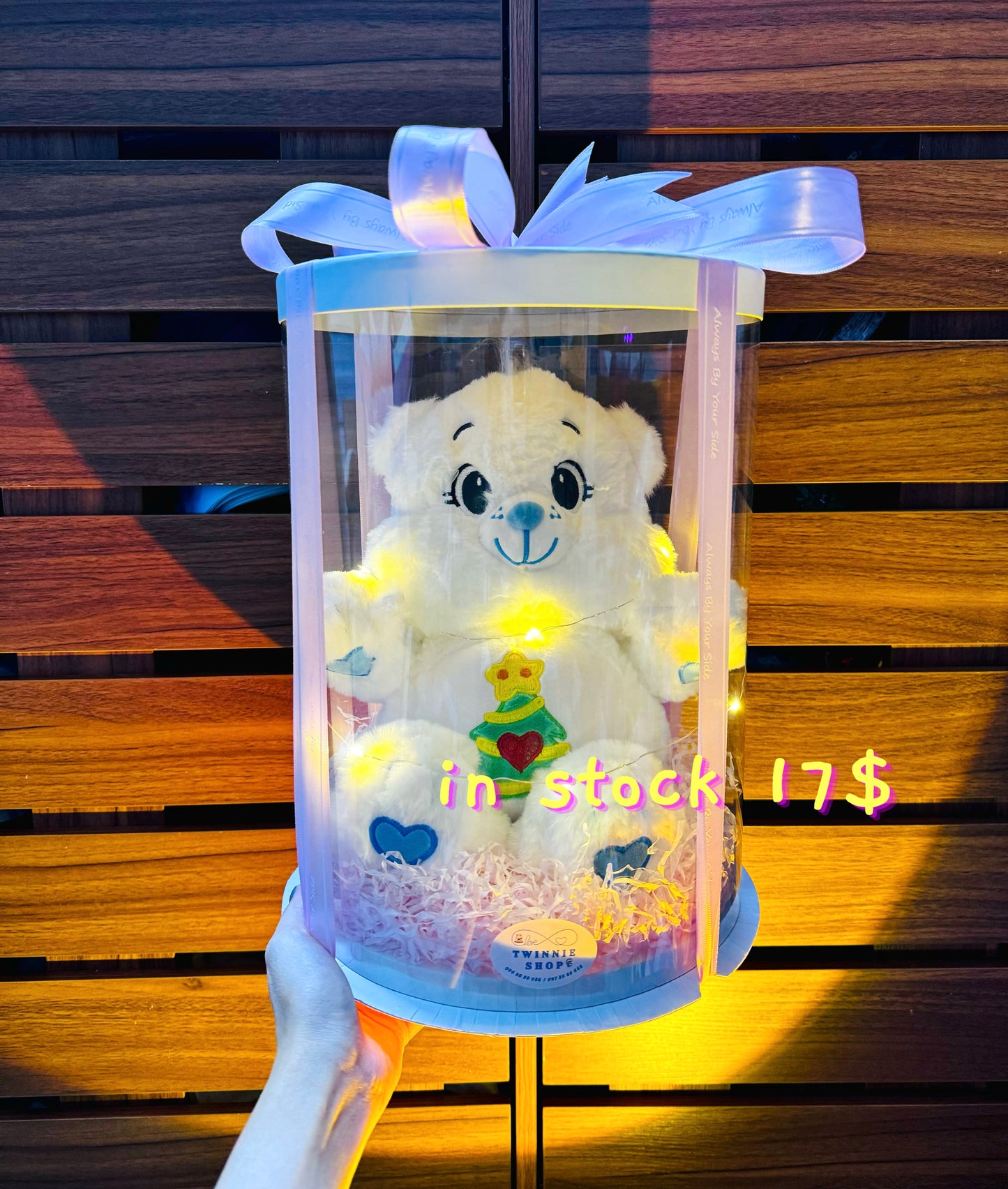 BB | Care bear 30cm set