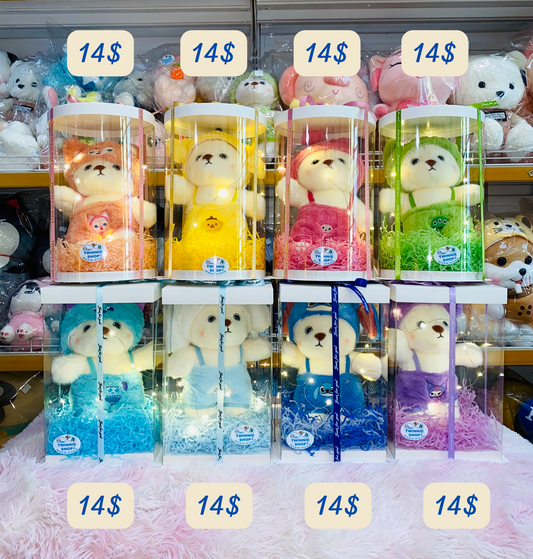 SRB14 | Teddy bear gift box
