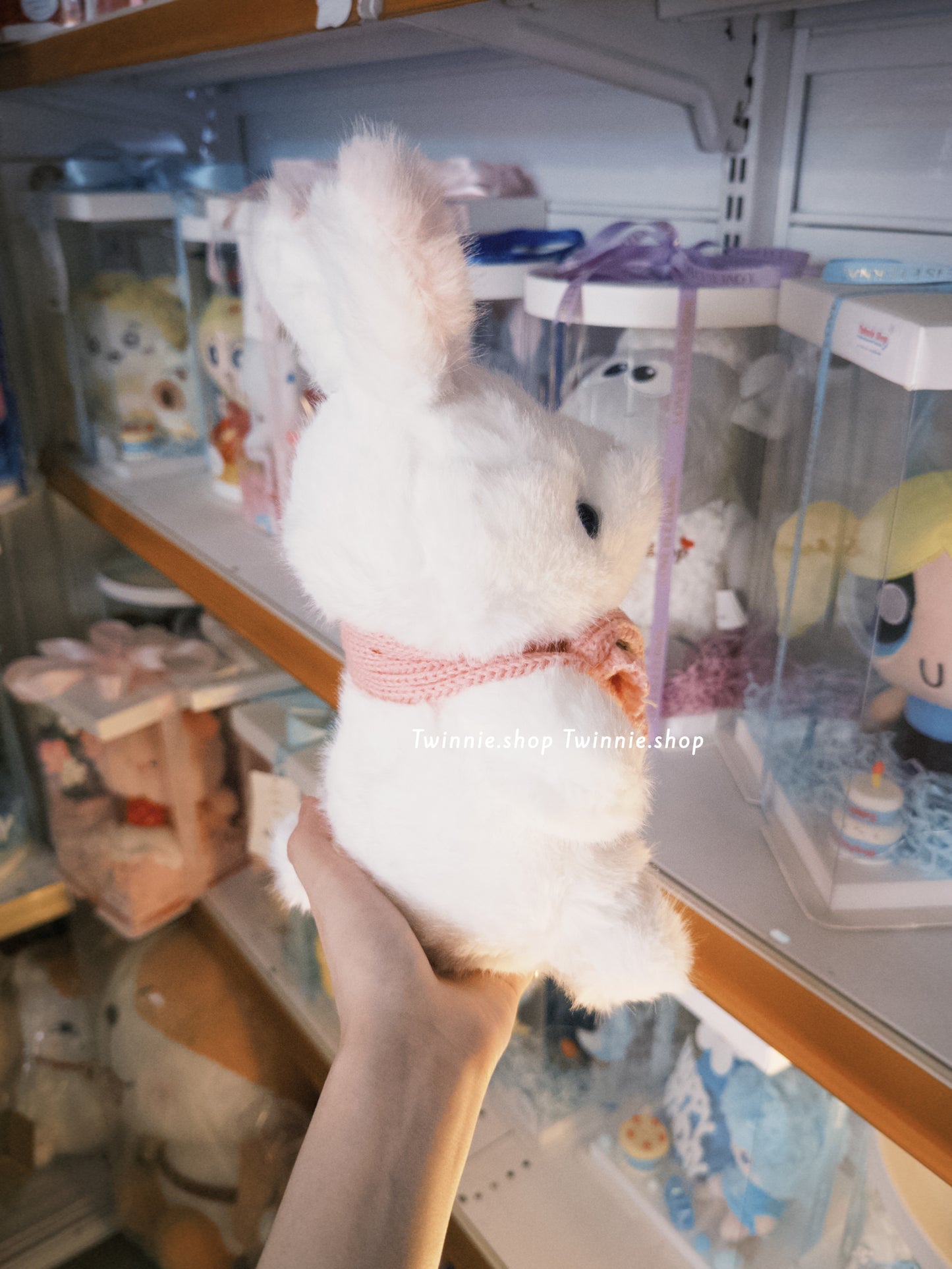 SD | Ribbon bunny
