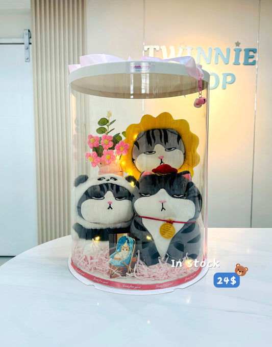 3FS | Moody cat flower set