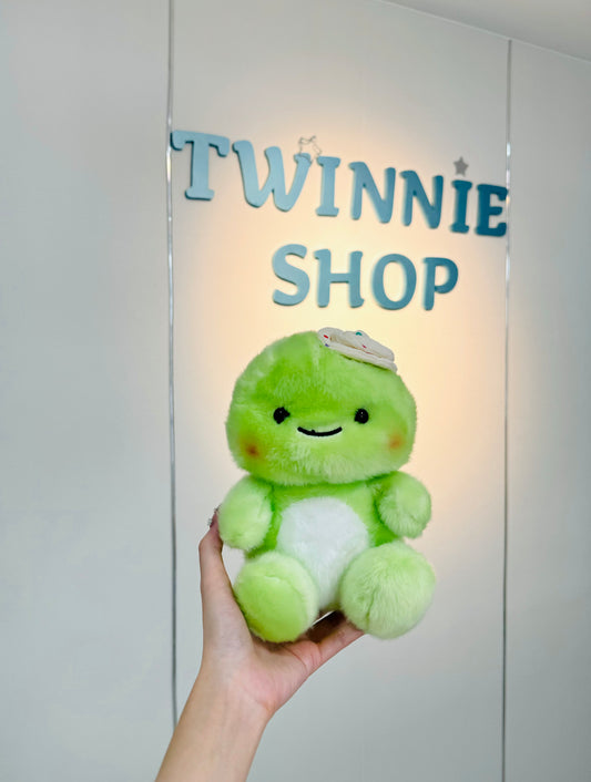 SD | Watermelon turtle