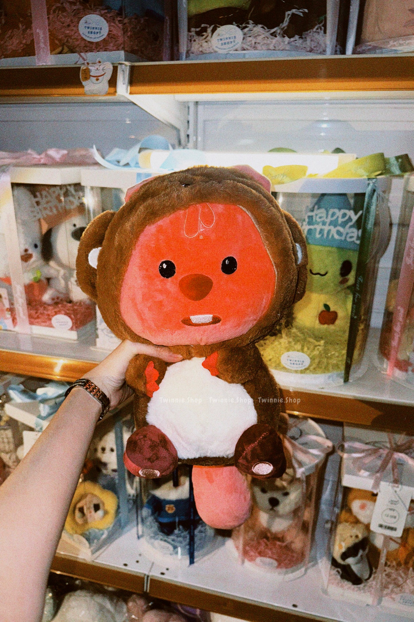 BT | Loopy Teddy