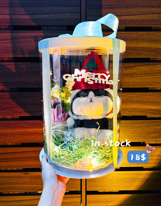 Xmas | Cat Christmas set