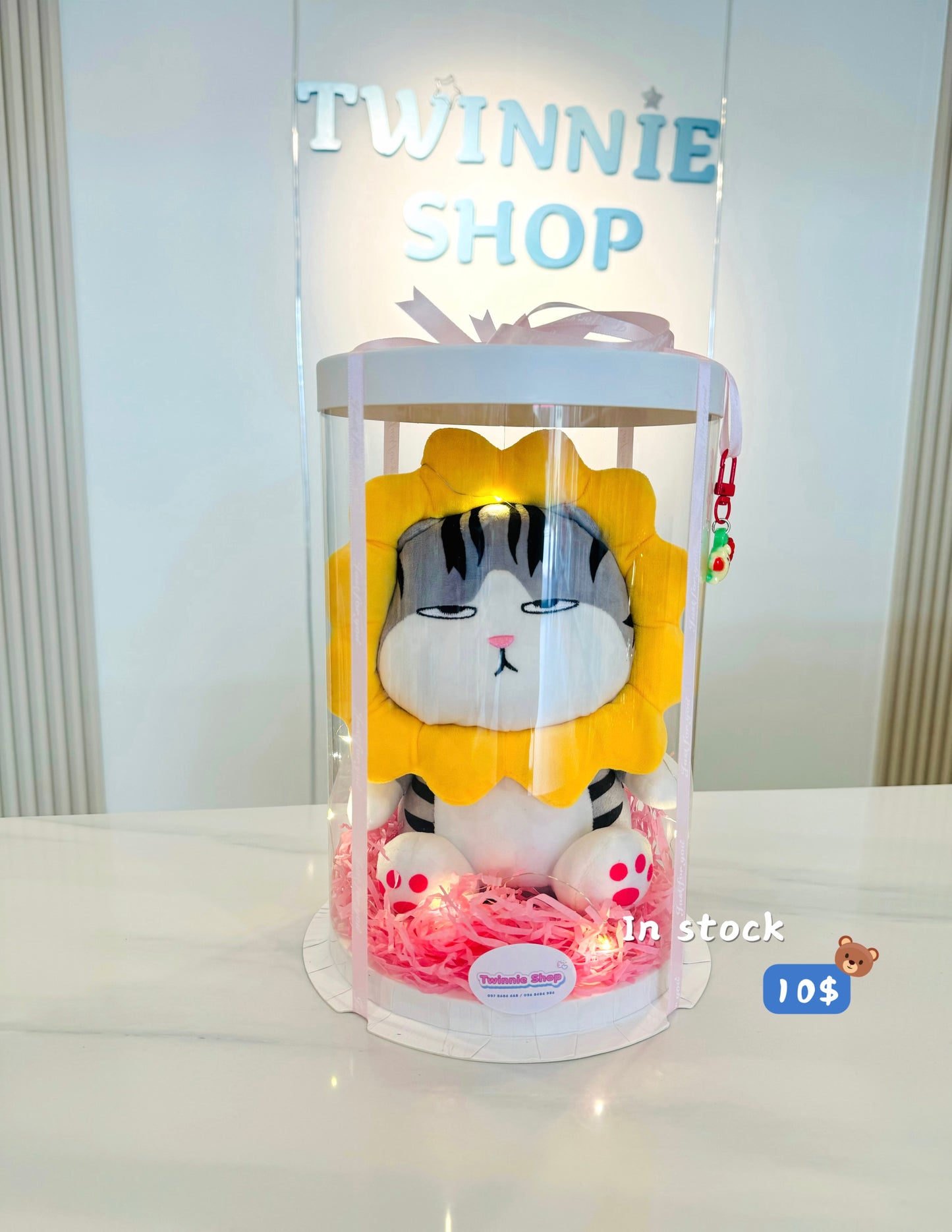 SRB10 | Moody cat gift box