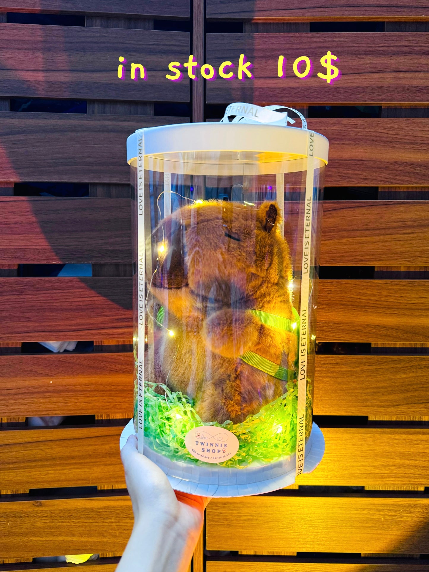 SRB | Capybara mini box
