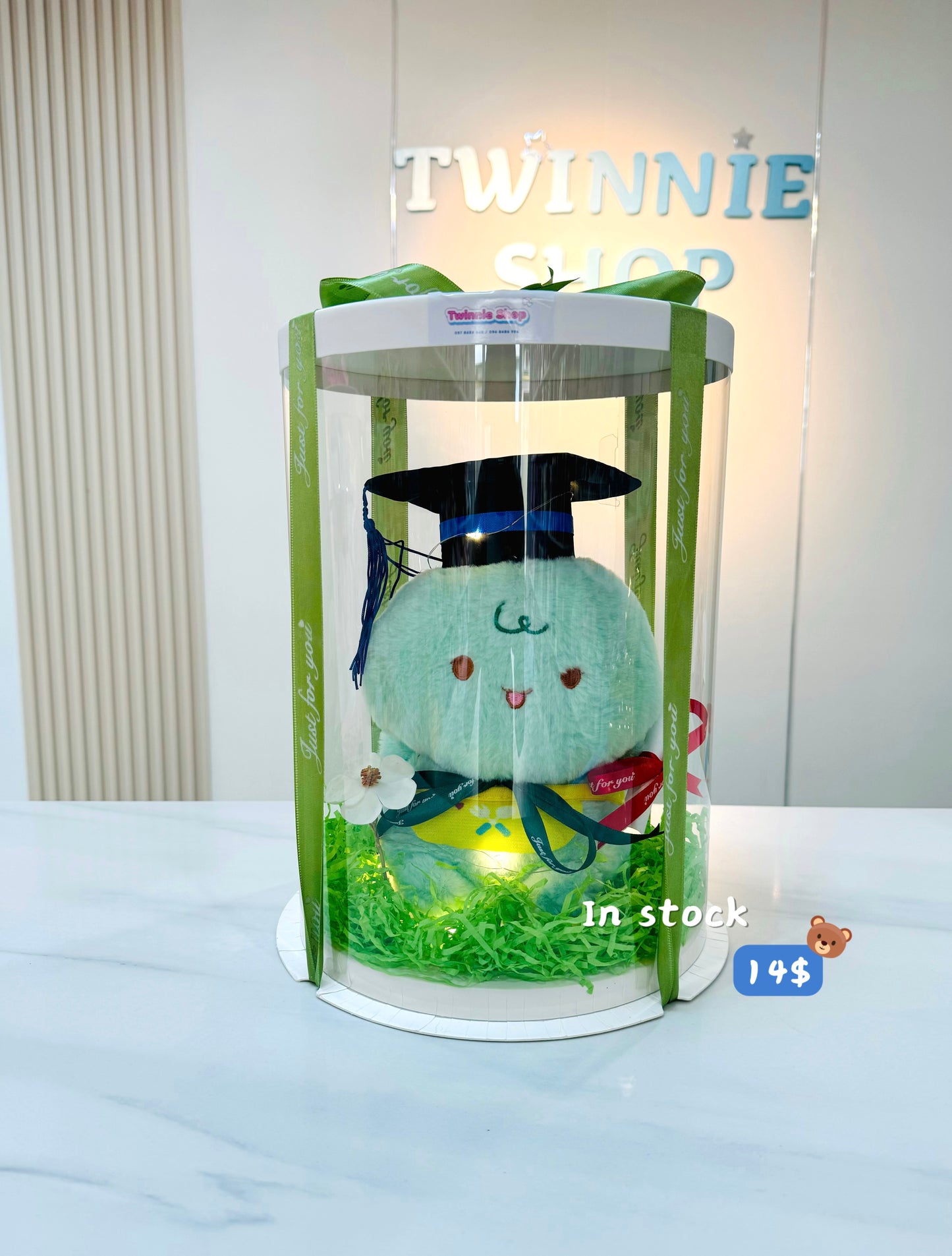 GRA | Turtle graduate set