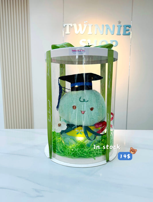 GRA | Turtle graduate set