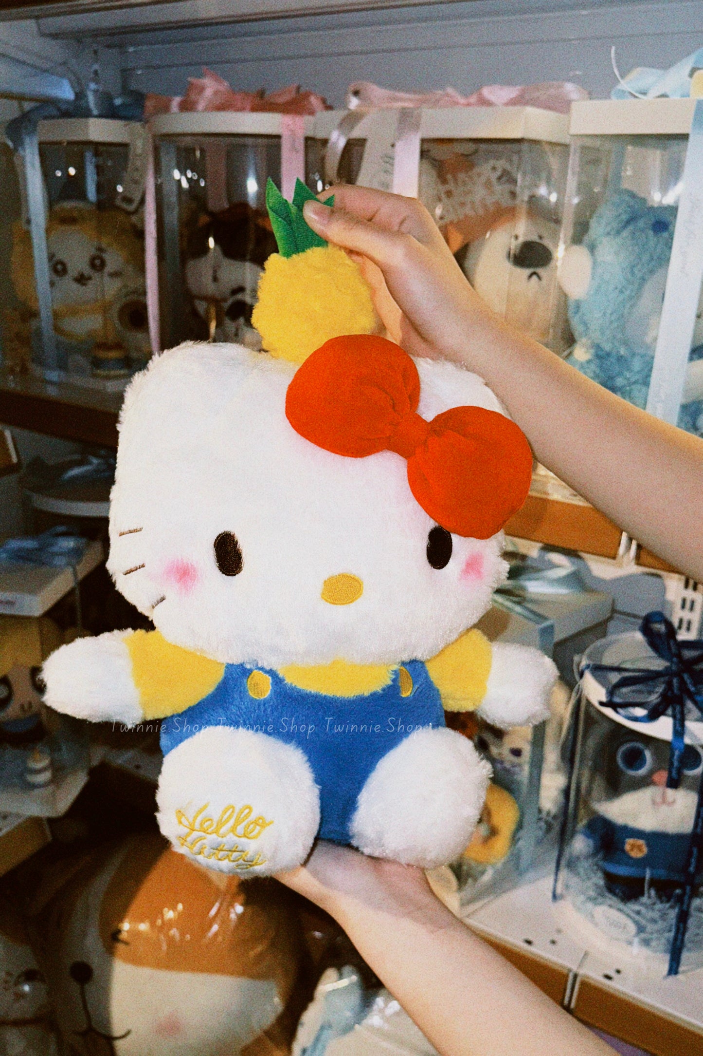 BT | Pineapple kitty