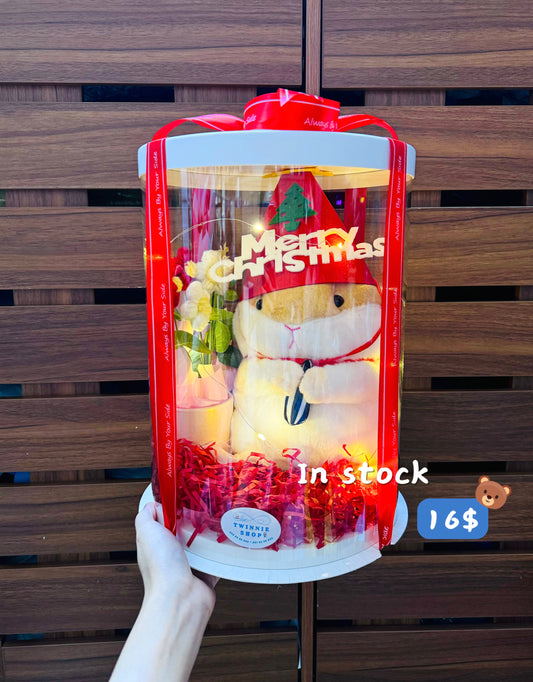 Xmas | Brown hamster gift set