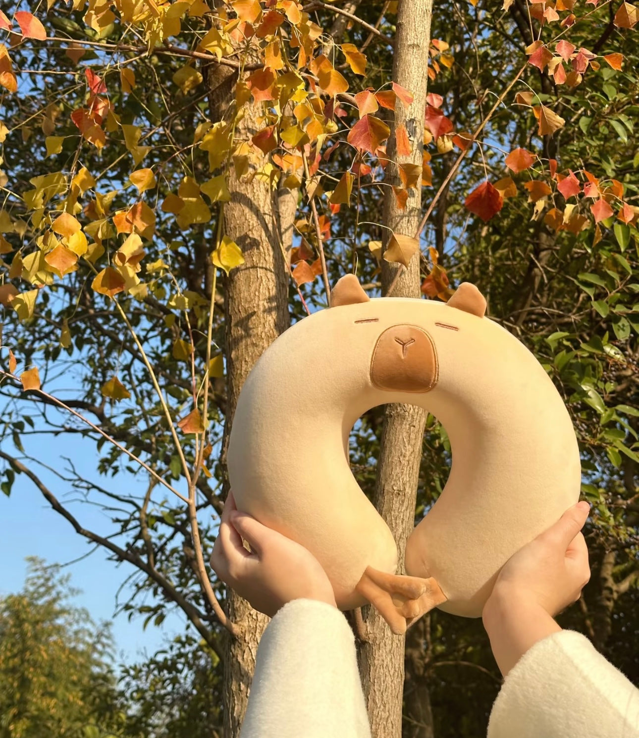 SD | Capybara pillow