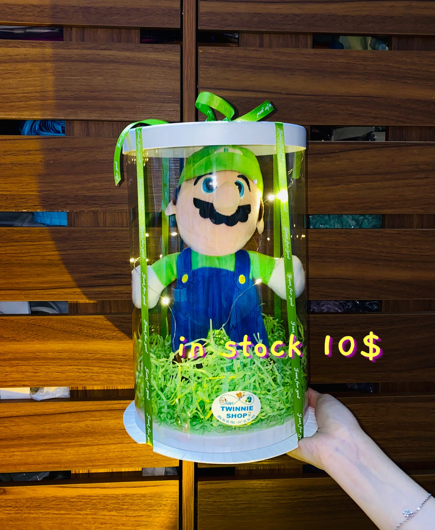 Mario / Luigi