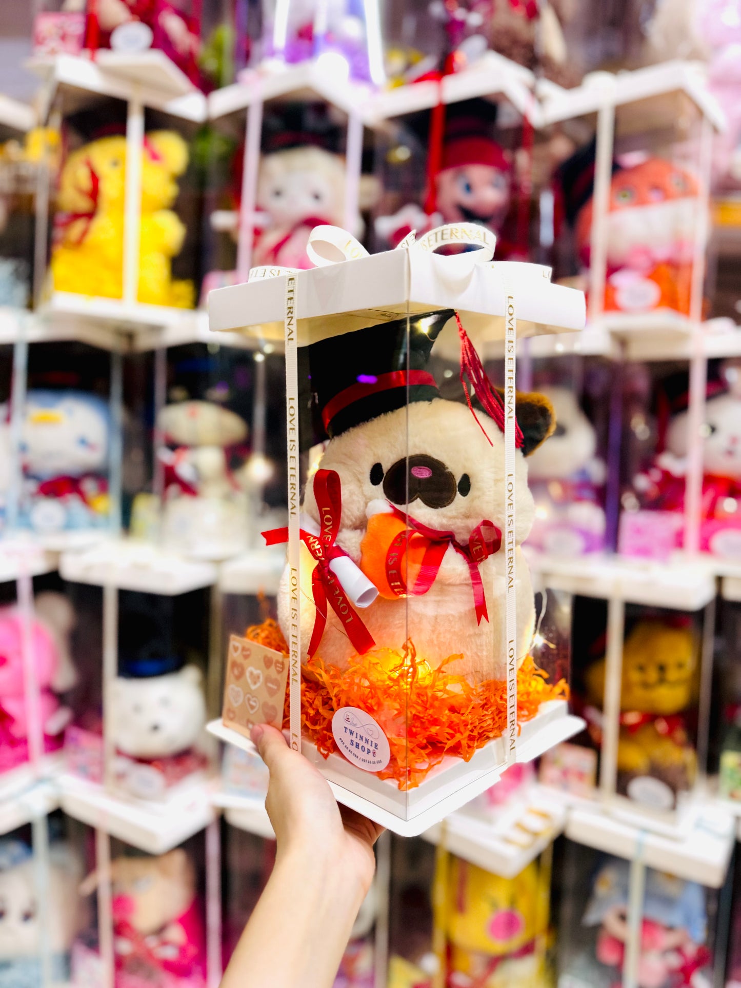 GRA | Doggy graduate gift set