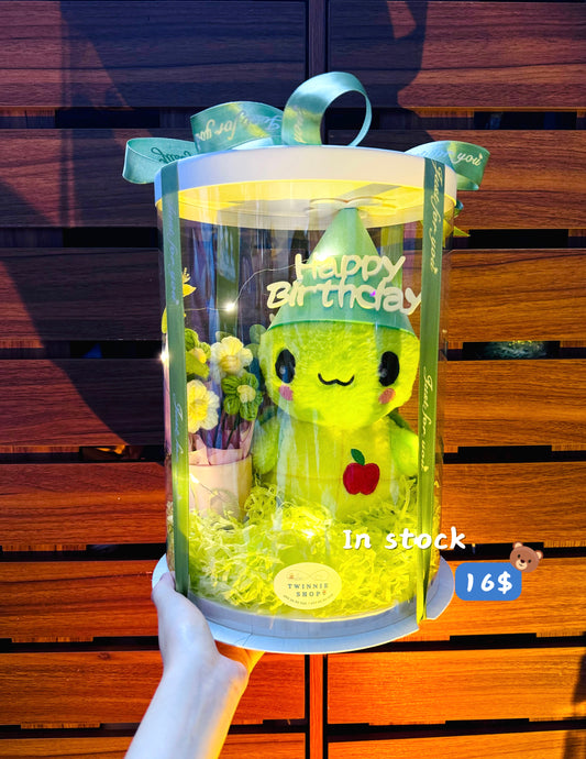 BD16 | Turtle birthday set