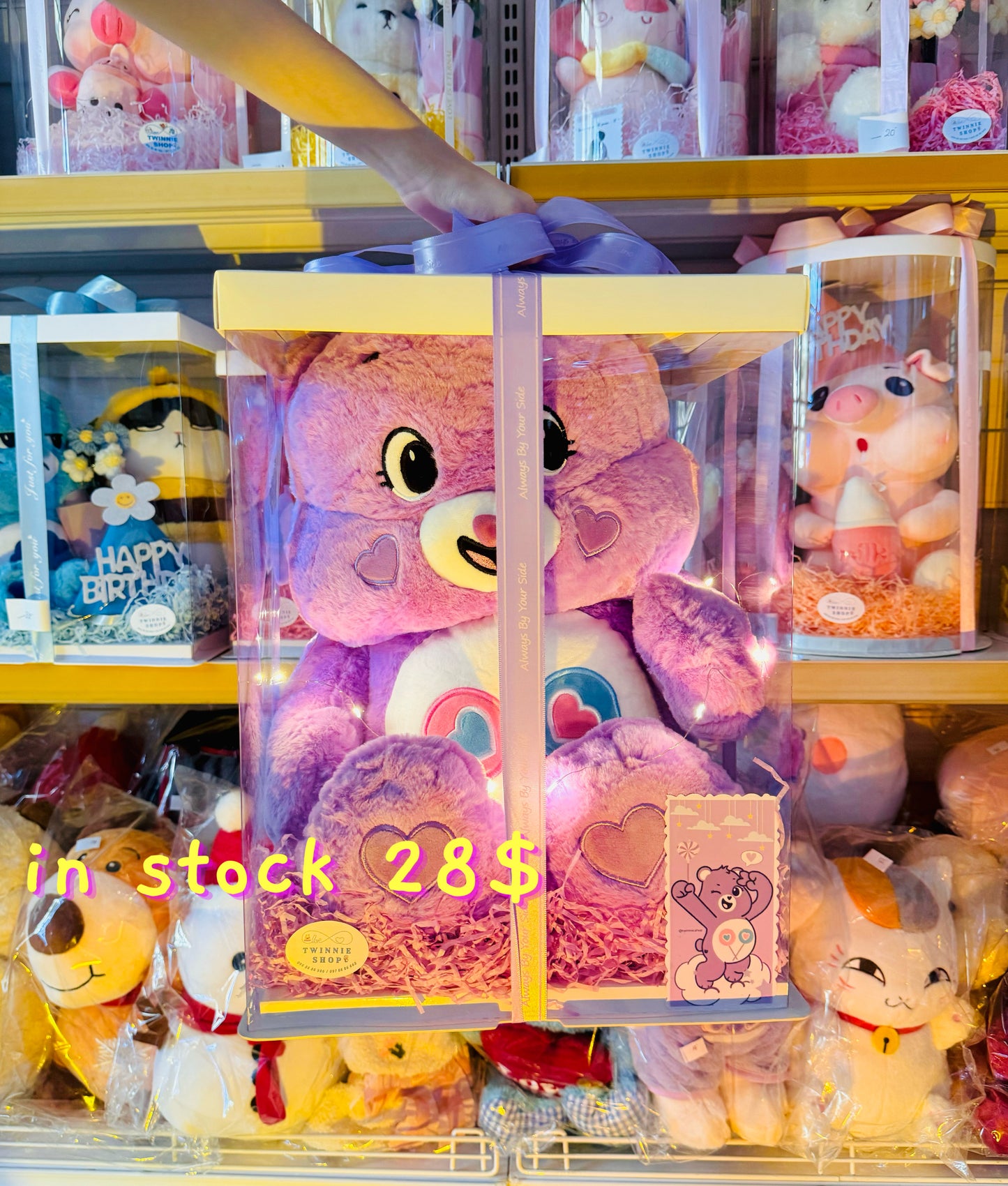BB | Purple care bear gift set