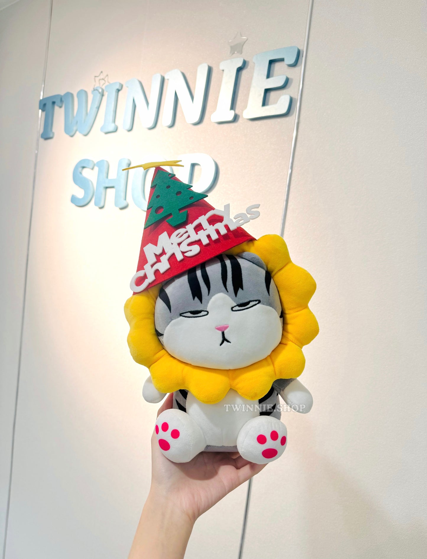 Xmas| cat