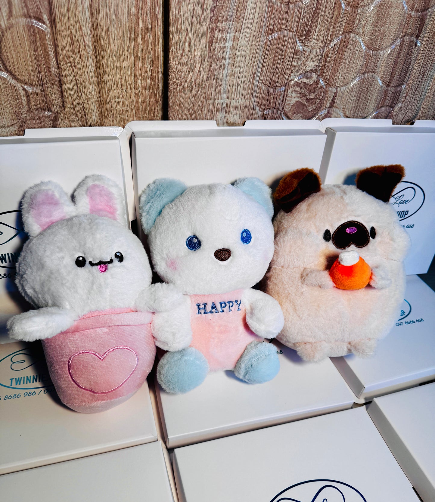 SD | Teddy 5$