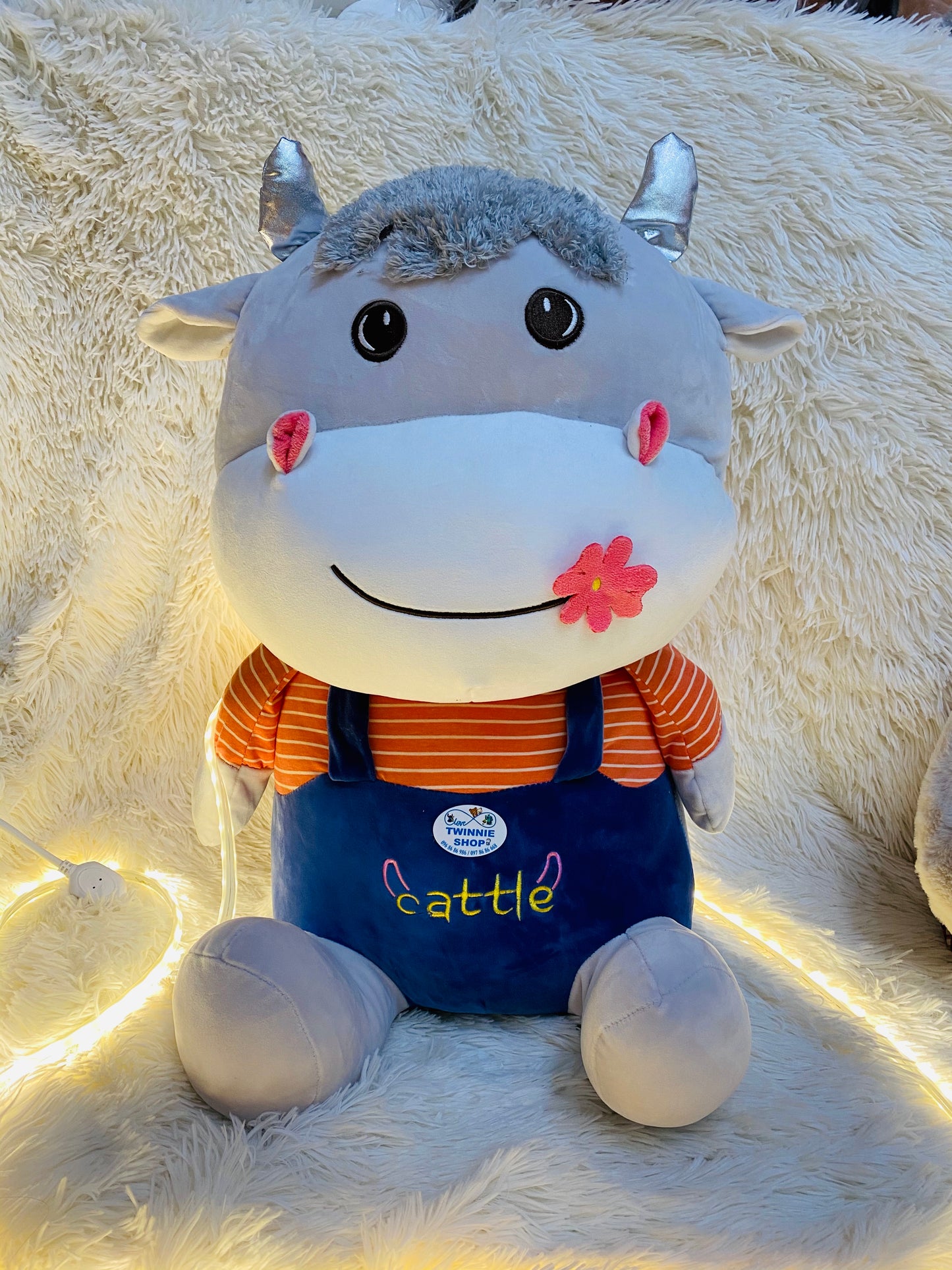 BT | Cow teddy