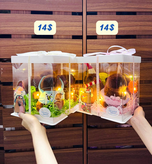 KCB | capybara 4 teddy box