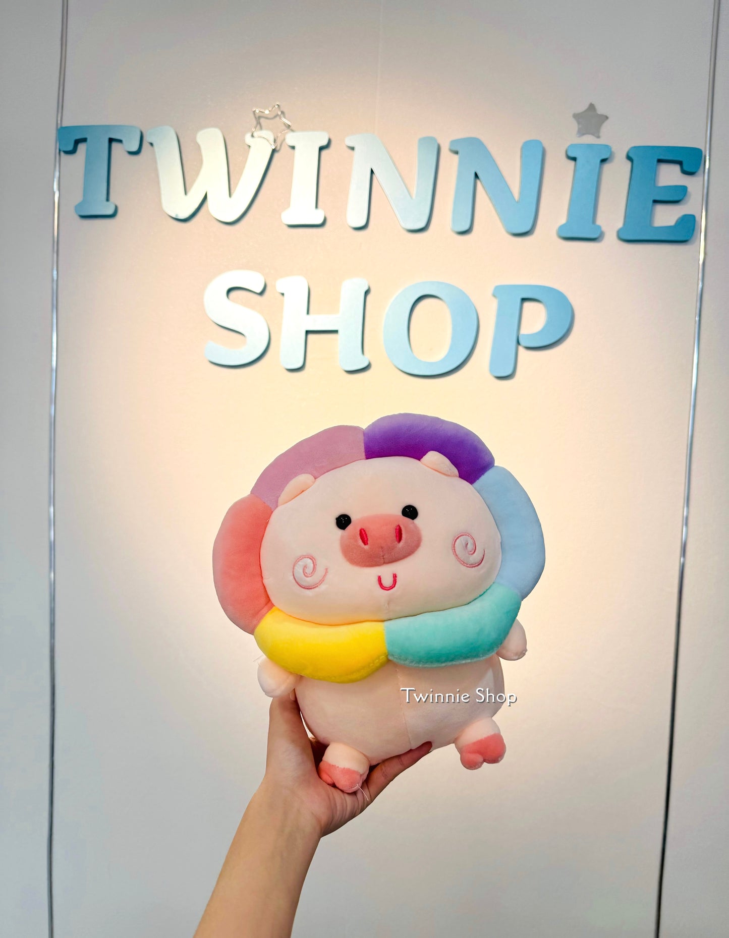 SD | Rainbow pig