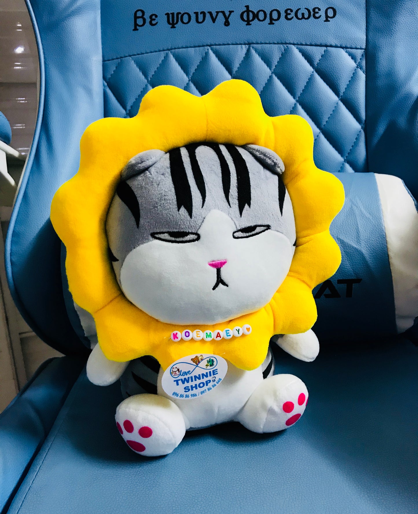 SD | Sunflower cat