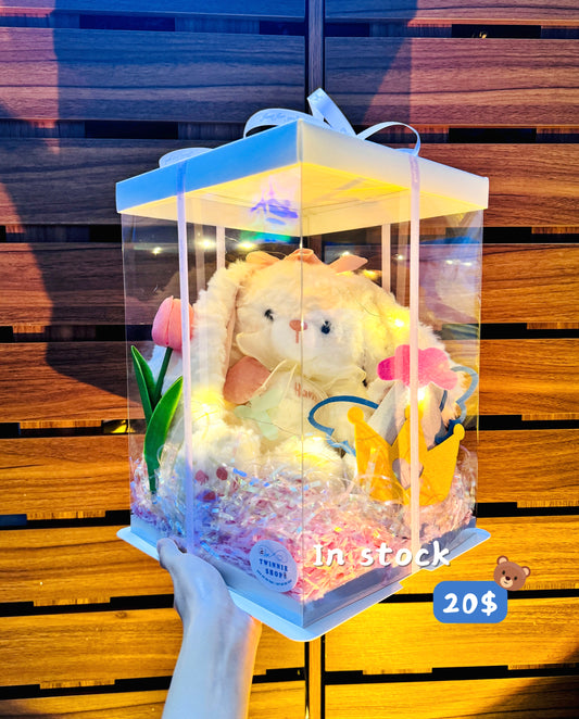 BB | Rabbit Puppy gift set