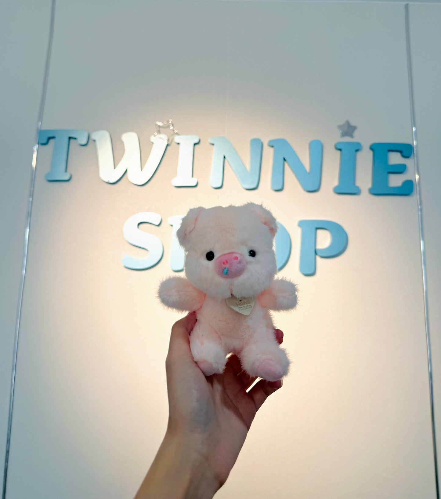 KEY | Piggy keychain