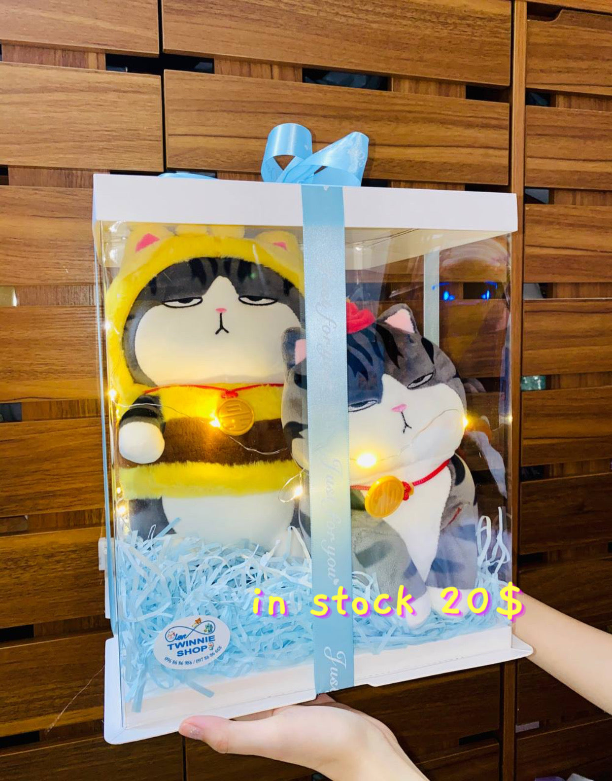 BB | Bee cat mix teddy set