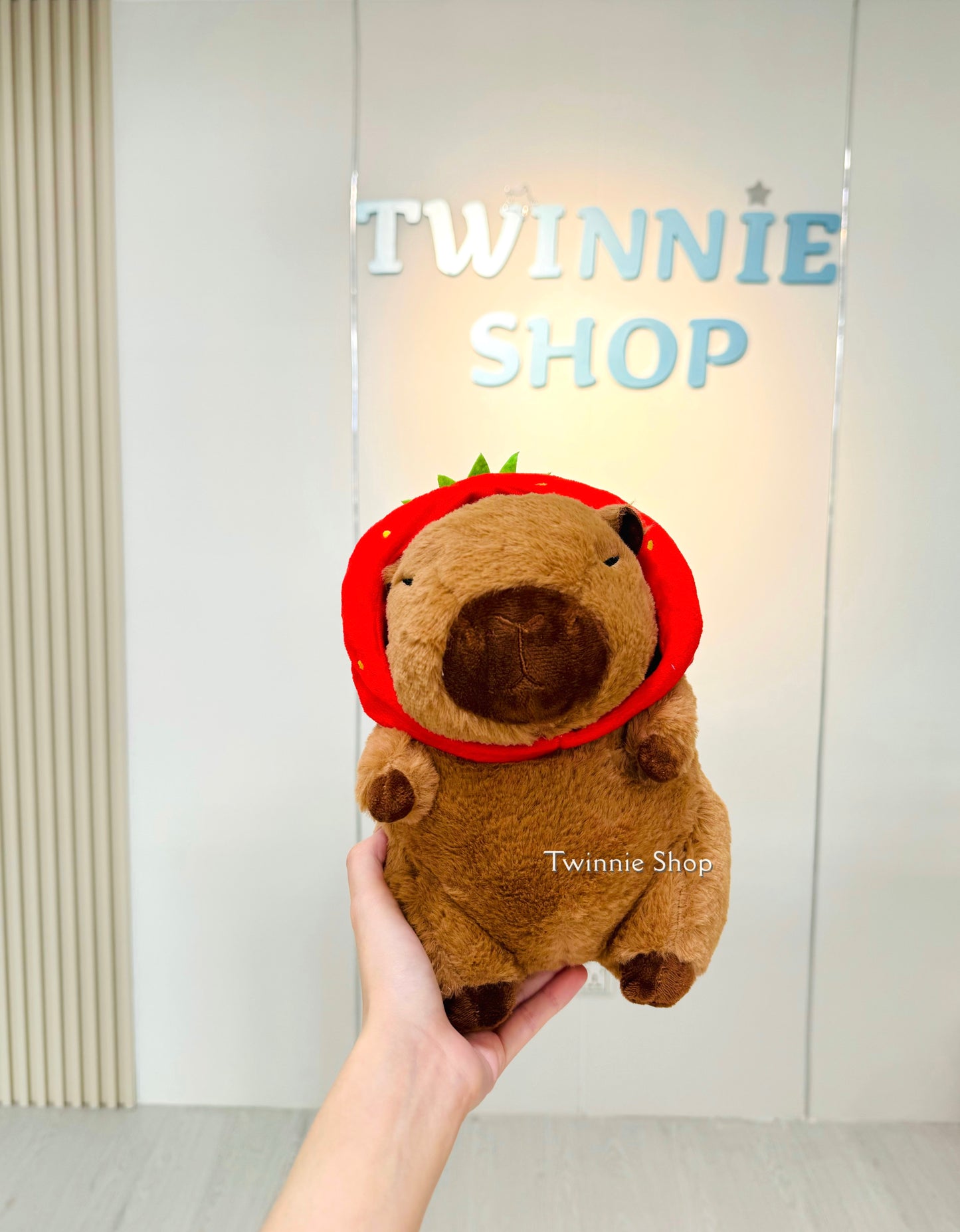 SD | Strawberry capybara