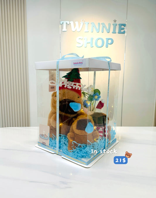 Xmas | Capybara Christmas  set