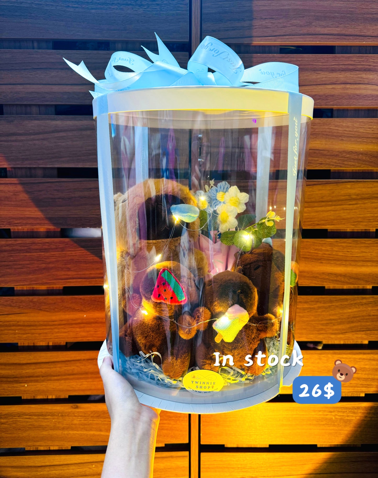 FML | Capybara family set
