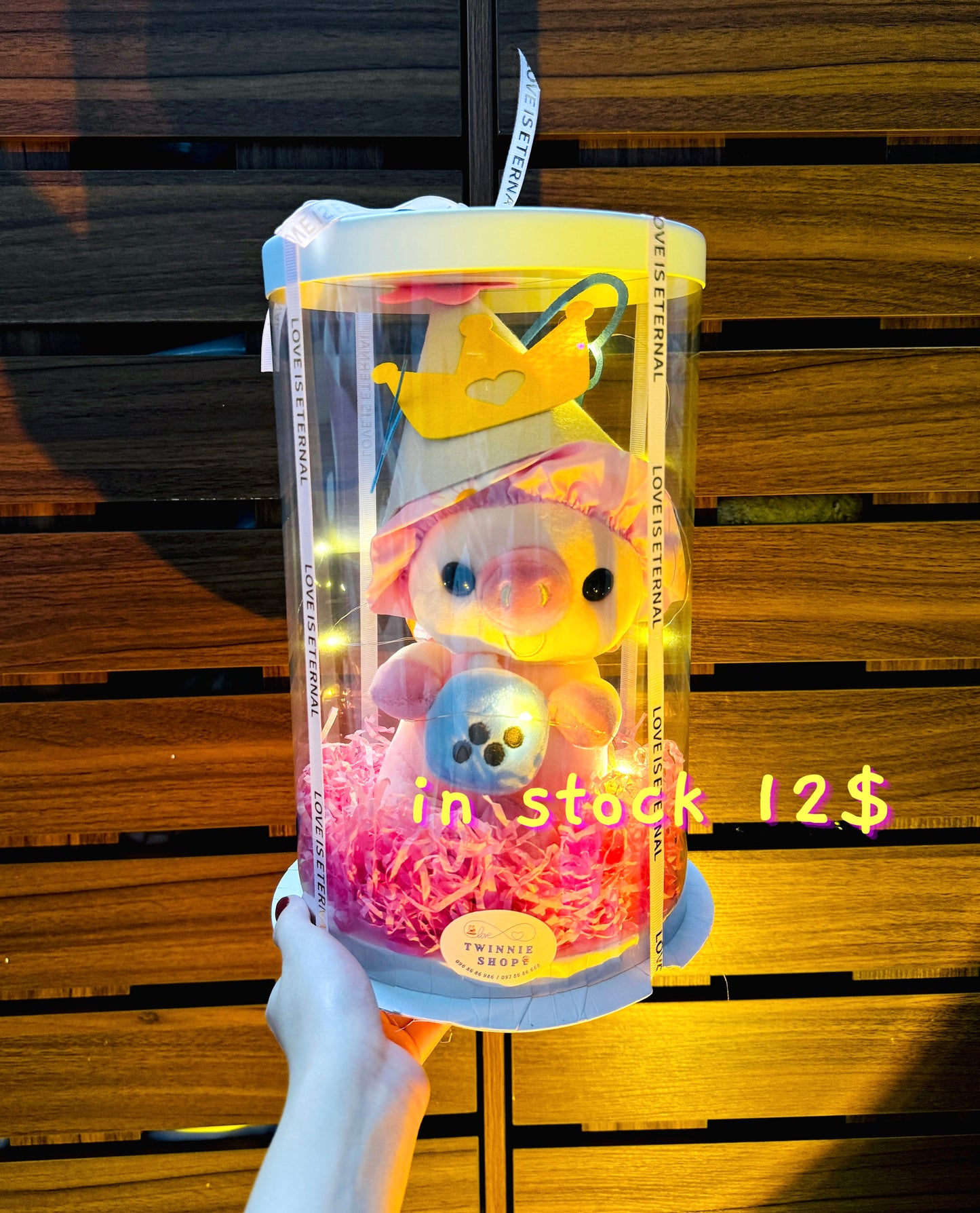 PCB | Piggy princess set