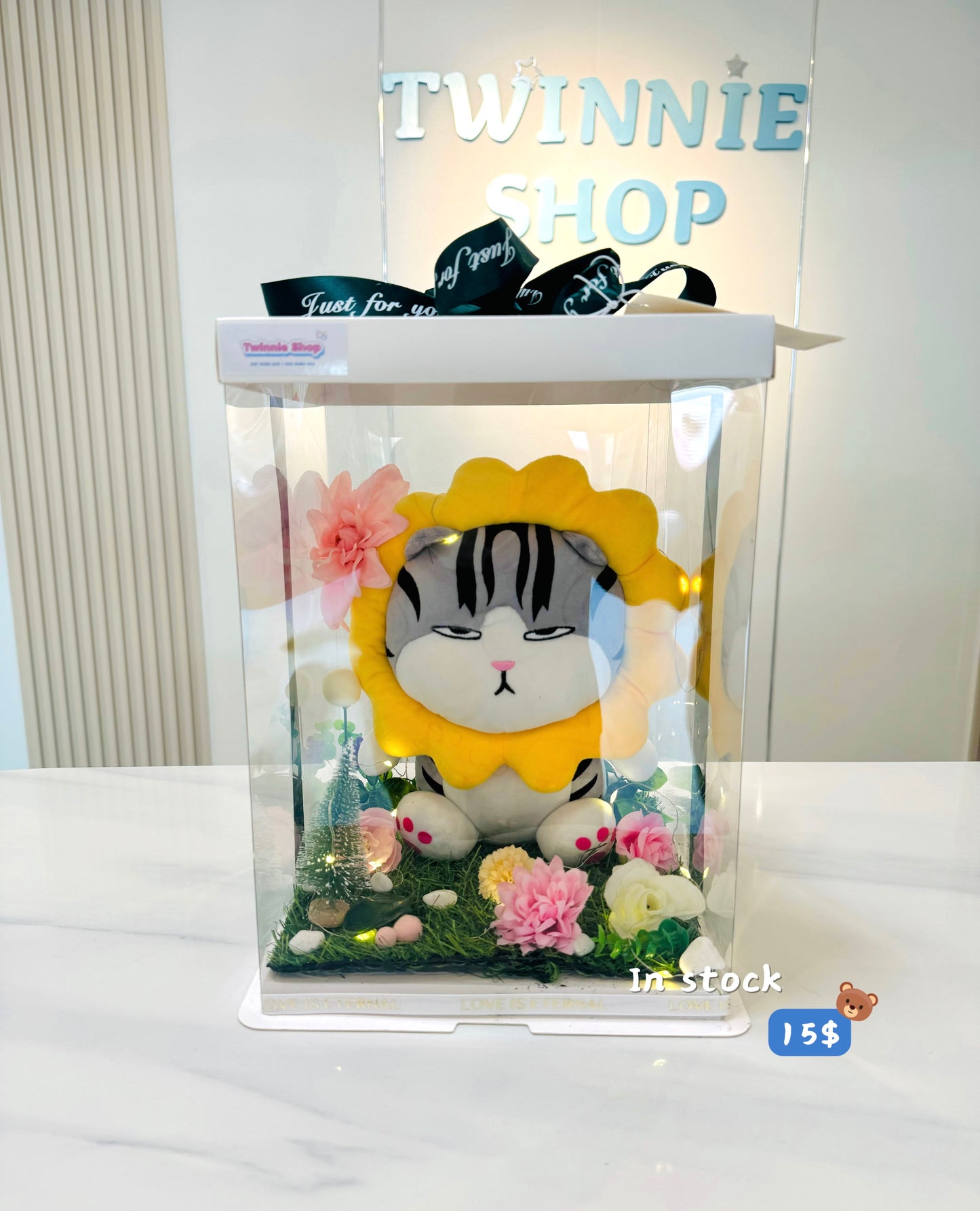 Xmas | Sunflower cat gift set