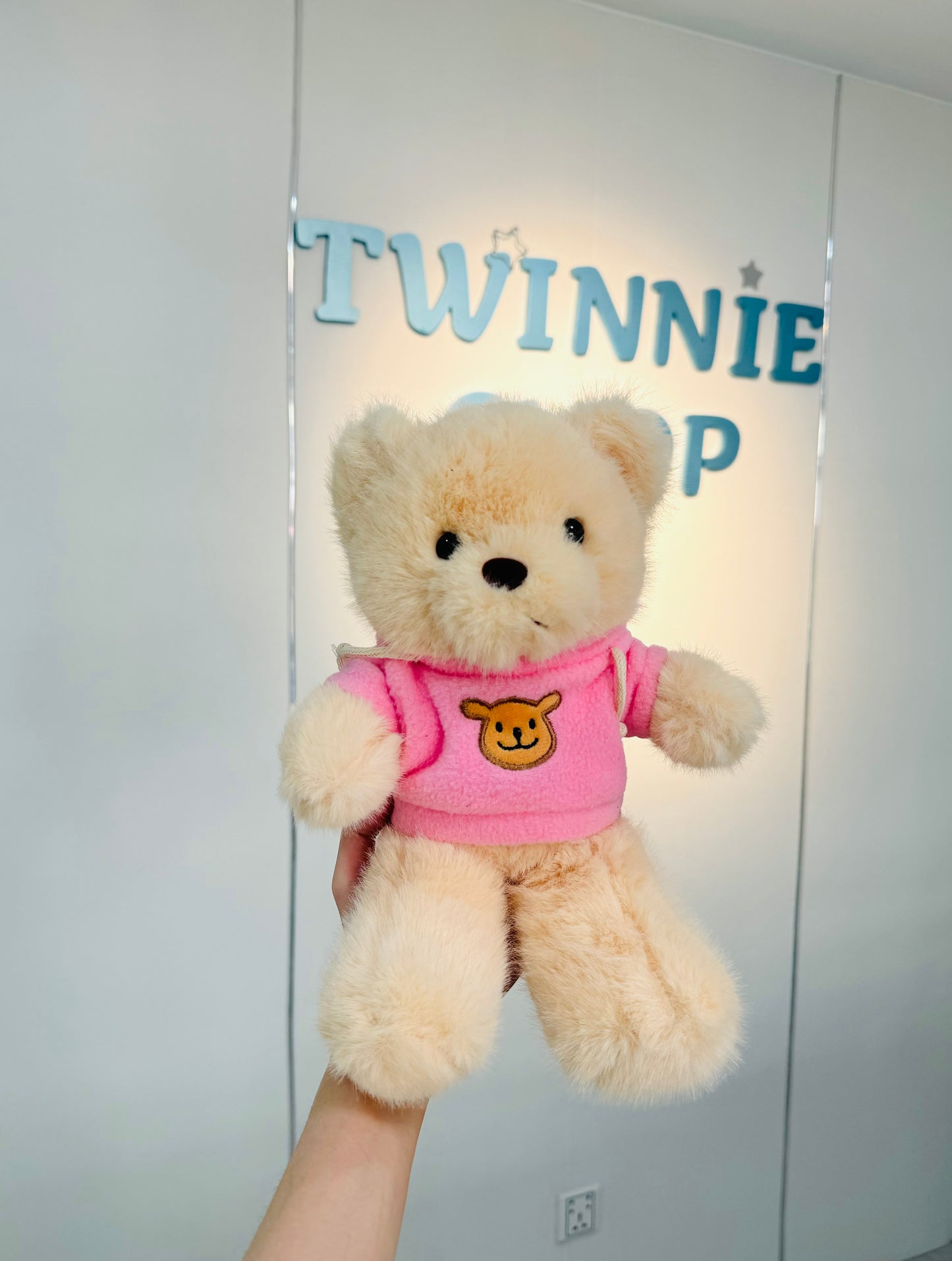 SD | Brown hoodie bear
