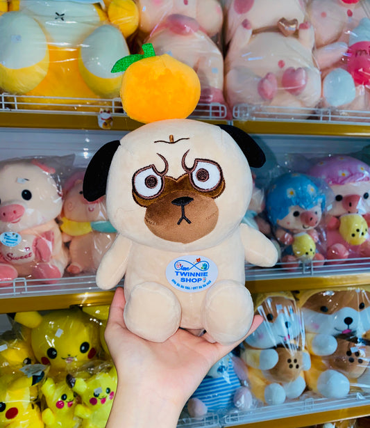 SD | Pug