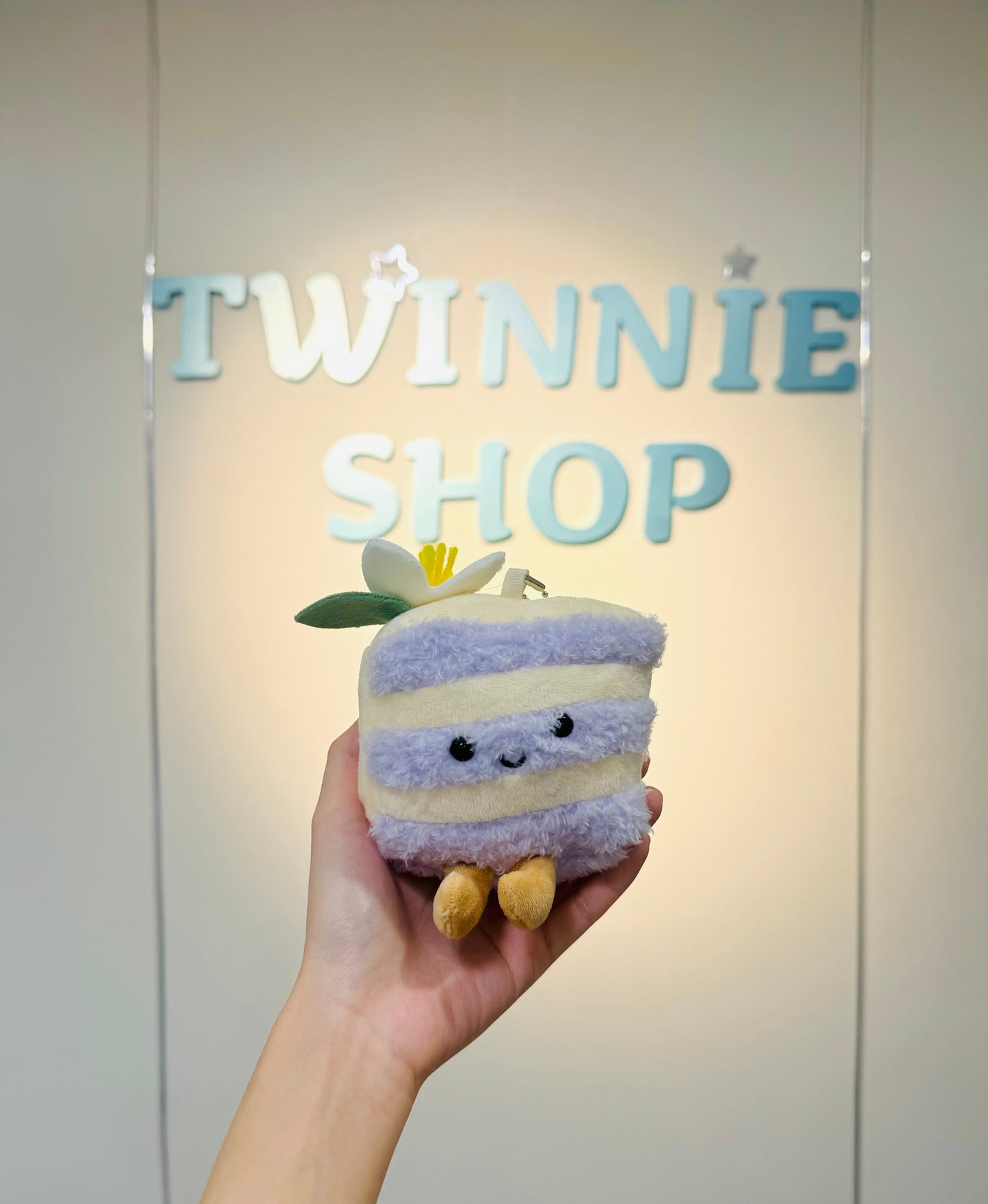 KEY | Cake slide keychain
