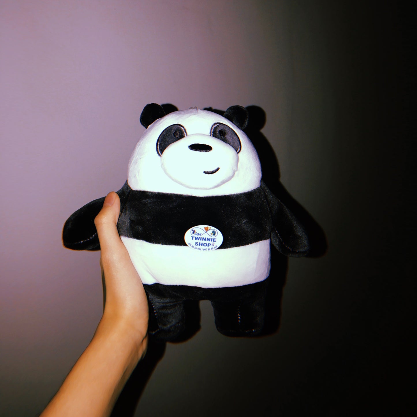 SD | We bare bear
