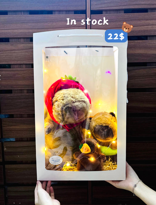 FML | Capybara family gift bag