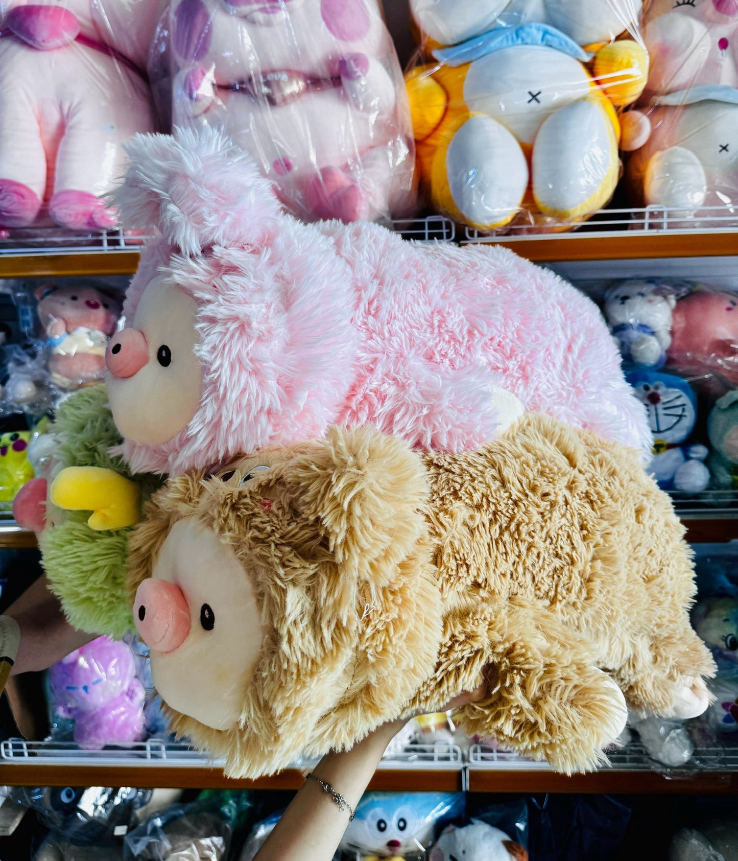 BT | Pillow pig