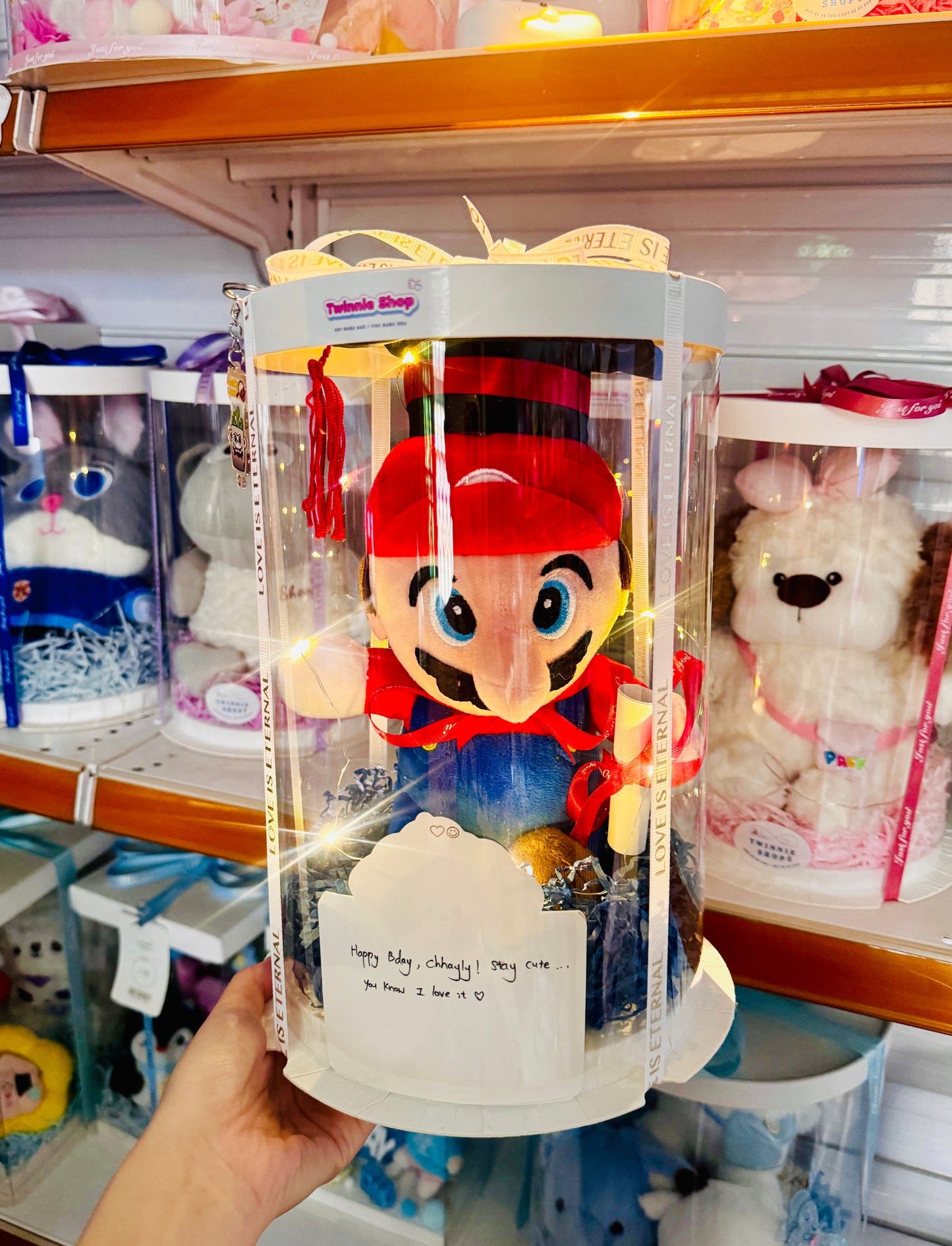 GRA | Mario graduate set