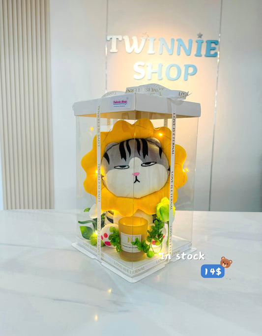 CD | Sunflower cat candle set