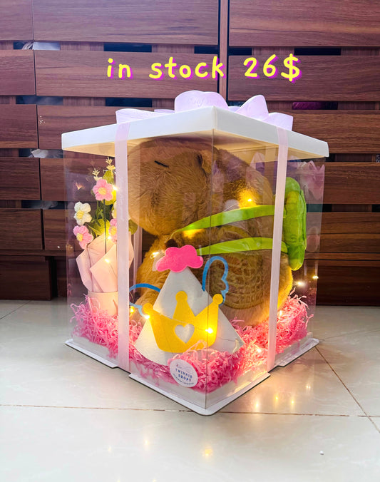 PCB | Capybara princess box