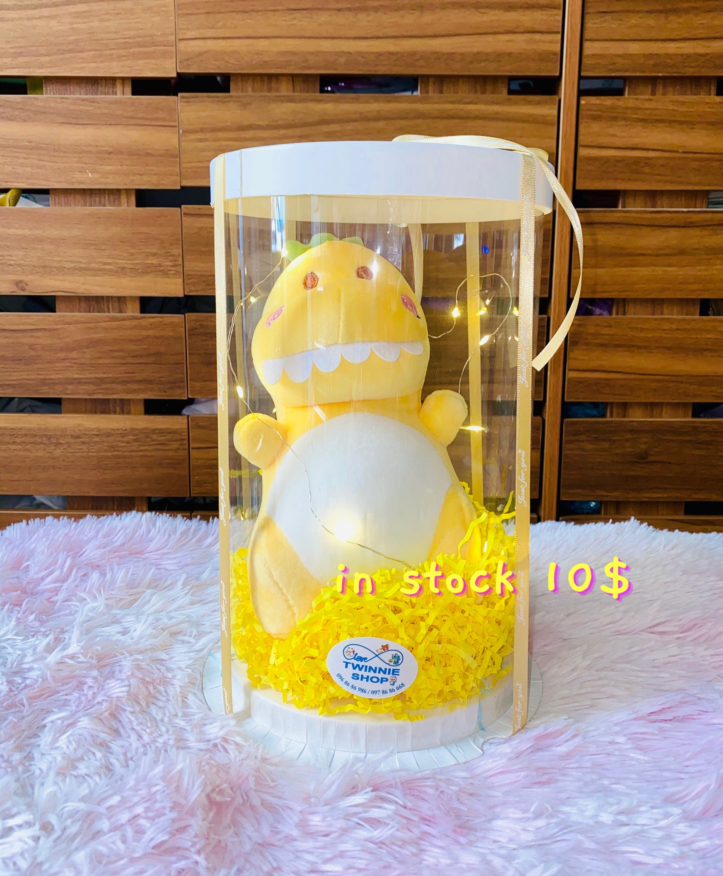 Dinosaur gift set