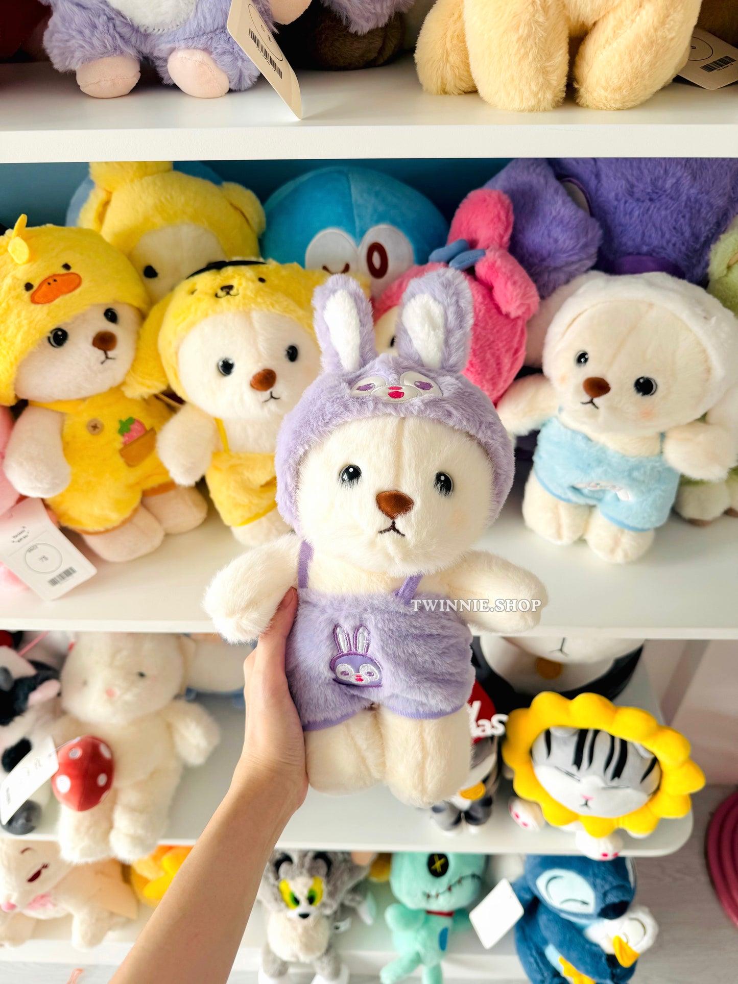 SD | Colorful bear