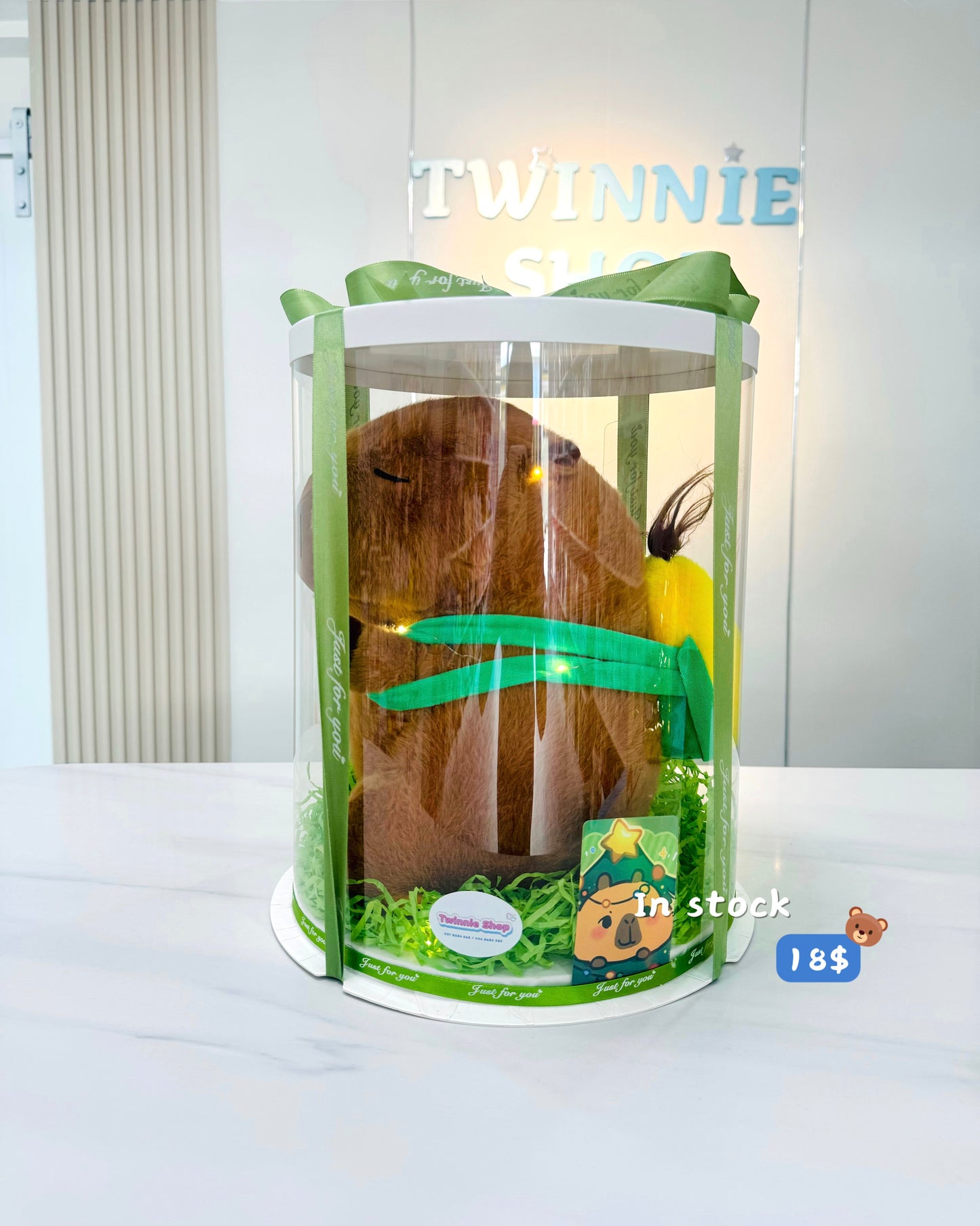BB | Capybara gift set