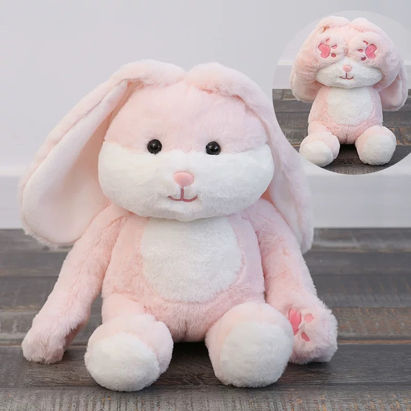 BT | Cute teddy